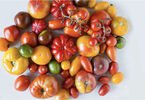 Защо доматите са толкова вкусни? Науката зад летния им чар.