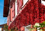 7 есенни кулинарни празника в Европа, заради които си струва да пътувате
