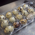Пъдпъдъчите яйца, също като аспержите, изискват внимателна обработка.