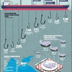 Топ 10 Морски вида с най-голям улов (данни за 2014) Според данни на Организацията по прехрана и земеделие през 2015 г. световният улов на риба и всякакви морски видове като миди, ракообразни и други възлиза на близо 93 милиона тона. В света съществуват над 1500 морски видове, които са обект на риболов, но от тях с икономическо значение са основно 25 вида, съставляващи около 40% от световния улов.Цялата статия прочетете тук.