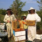 В югоизточната част на България, между долините на реките Марица, Тунджа и Сазлийка, се намира малката китна планина Сакар. Именно тук, сред чистия въздух, бистрата вода и разнообразието от билки е разположено пчелното стопанство на семейство Курдови, които с голяма грижовност, отговорност и постоянство развиват семейния бизнес, като днес той се ръководи от техните наследници Деан Курдов и неговата сестра Димитрина Курдова.Следете ни последните новости във Facebook »Всичко за Bacchus StrEAT Fest вижте тук. »Купете билет онлайн от тук