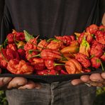 Кой не знае Chilli Hills Farm, кой не е чувал за него? Първият български бранд за люти сосове и люти продукти от всякакво естество е сред най-бързо развиващите се млади компании в България и е лидер в производството и търговия на люти продукти.Марката Chilli Hills предлага собствено производство бутикови люти продукти като люти сосове, люти пасти, изсушени люти чушки. подправки, люти сладка, шоколади, занаятчийски люти бири, ракии и много други."От семка до бутилка" е слогана на бранда и означава, че контролират целия цикъл на производство от засаждане на семена на над 70 вида люти чушки, до отглеждането, обработката и предлагането им на пазара под формата на различни продукти.Всички продукти на марката са 100 % натурални.През 2018-та Чили Хилс откриха и собствен фирмен магазин в сърцето на София, който е и първия по рода си магазин в страната. През месец Май отвориха и фирмен магазин в центъра на емблематичния пловдивски квартал – Капана. Скоро идва и ред на Варна!За повече инфо, посетете www.chilli-hills.comFacebook: Chilli Hills FarmInstagram: ChilliHillsФирмен магазин: София, ул. "Солунска" 29Пловдив, ул. "Константин Стоилов" 25Всичко за Бакхус Fish Fest 2 вижте тук.Научавайте новостите за събитието във Facebook.КУПЕТЕ БИЛЕТ ОНЛАЙН >>>