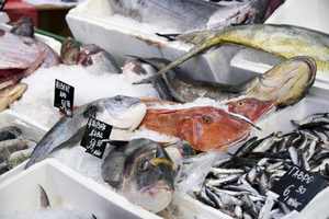 Бакхус FISH Fest 2