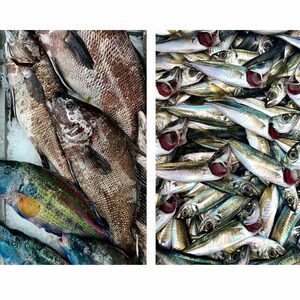 От старите семейни рецепти до модерната морска кухня