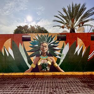 Alt. Ctrl. & Del. в течна форма