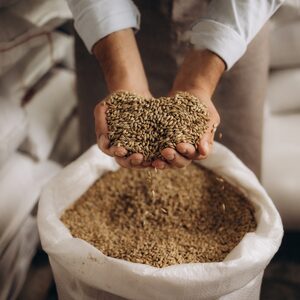 Обратно към бъдещето: пивоварството, както преди