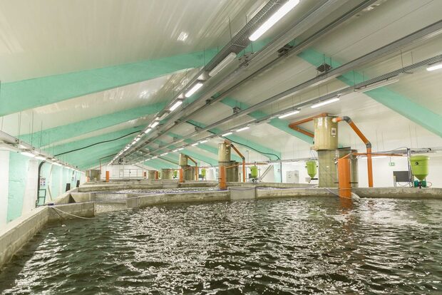 Всичко за Бакхус Fish Fest вижте тук.КУПЕТЕ БИЛЕТИ ОНЛАЙН ОТ ТУК: