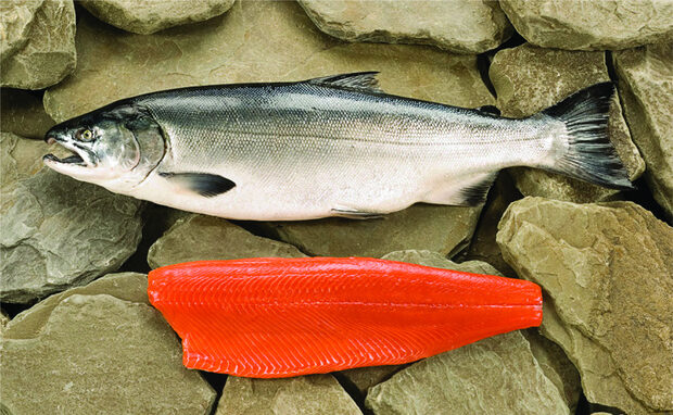 Всичко за Бакхус Fish Fest вижте тук.КУПЕТЕ БИЛЕТИ ОНЛАЙН ОТ ТУК: