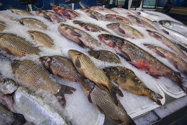 Всичко за Бакхус Fish Fest 2 вижте тук.Научавайте новостите за събитието във Facebook.КУПЕТЕ БИЛЕТ ОНЛАЙН >>>