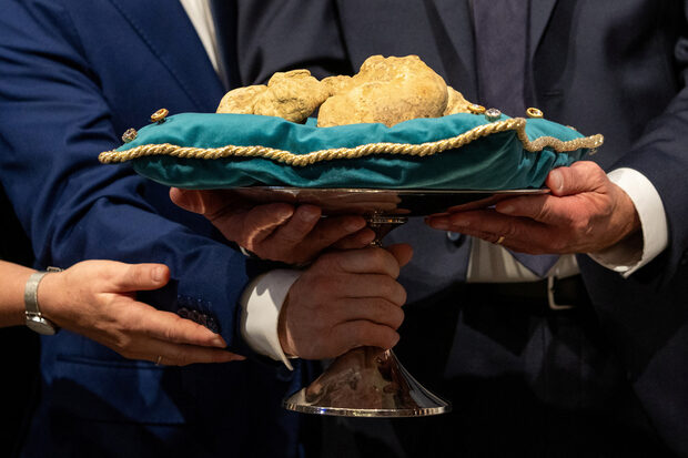 Кулминацията на вечерта беше представянето на огромен бял трюфел с тегло 1.009 кг.Този изключителен екземпляр, който надхвърля един килограм, предизвика ожесточено наддаване между международни купувачи, участващи както на живо, така и чрез сателитна връзка от цял свят.