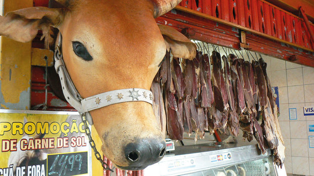 Пазарите в южните райони на Бразилия свидетелстват за силно присъствие на гаучо културата и идващите с нея телешки стекове