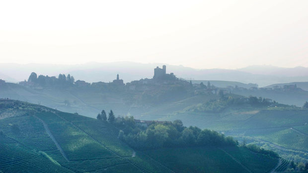 Предполага се, че мъглите, характерни за Пиемонт (nebbia на италиански), са дали наименованието на сорта Небиоло