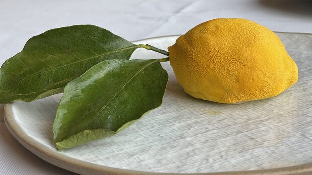 Десерт Лимон - ганаш Монте с бял шоколад и естрагон, домашно сладко от лимони, бисквита сабле от Корията