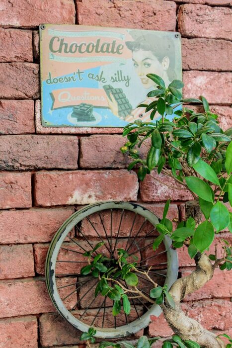 Кафе "Велосипед".Прочетете цялата статия тук